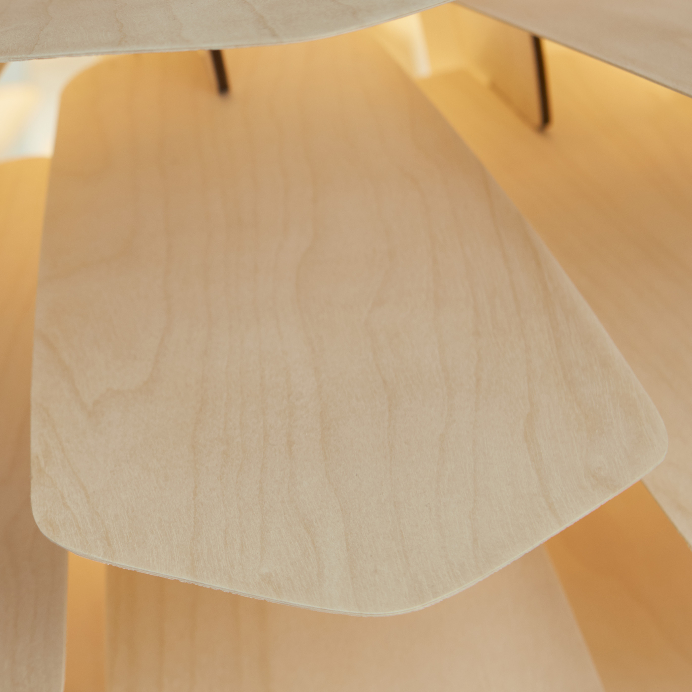 La Pigne. The pine cone.